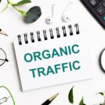 Ciri - Ciri Blog Yang Berpotensi Mendapatkan Traffik Organik 10.000 Per Day